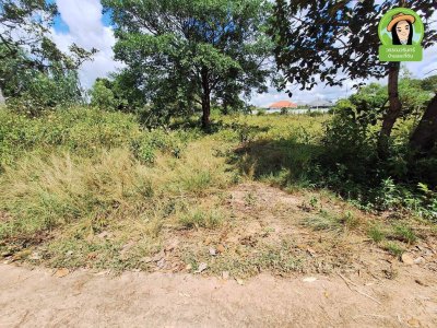 ที่ดิน 3 แปลง โซนห้วยวังนอง ในซอยยิ่งดวง ต.กุดลาด