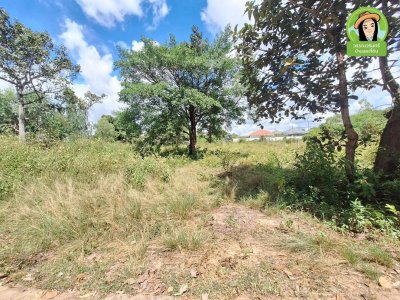 ที่ดิน 3 แปลง โซนห้วยวังนอง ในซอยยิ่งดวง ต.กุดลาด