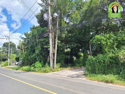 ที่ดิน 3 แปลง โซนห้วยวังนอง ในซอยยิ่งดวง ต.กุดลาด