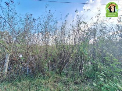 บ้านดงห่องแห่ สมเด็จ 34 ซอยสง่าวงศ์