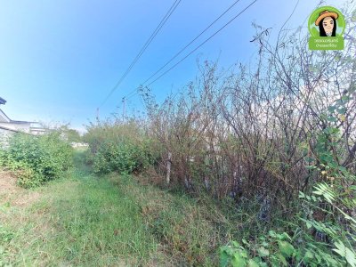 บ้านดงห่องแห่ สมเด็จ 34 ซอยสง่าวงศ์