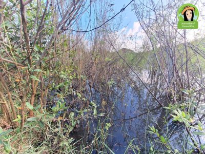 บ้านดงห่องแห่ สมเด็จ 34 ซอยสง่าวงศ์