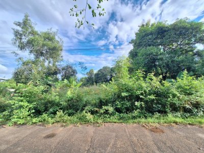 ที่ดินเปล่า บ้านคำไฮใหญ่ อ.ดอนมดแดง