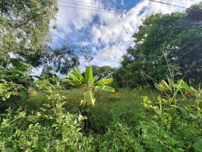 ที่ดินเปล่า บ้านคำไฮใหญ่ อ.ดอนมดแดง