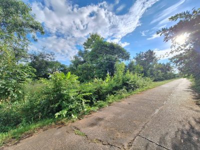 ที่ดินเปล่า บ้านคำไฮใหญ่ อ.ดอนมดแดง