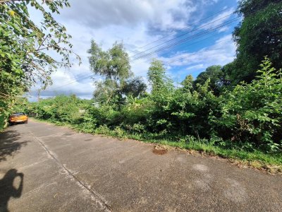 ที่ดินเปล่า บ้านคำไฮใหญ่ อ.ดอนมดแดง