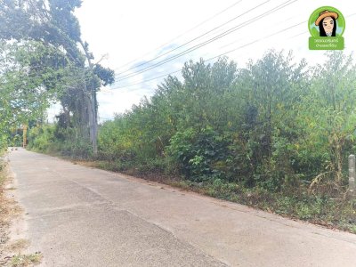 ที่ดินเปล่า 2 แปลง ขนาบทางเข้าวัดป่าสนามชัย