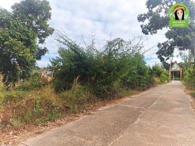 ที่ดินเปล่า 2 แปลง ขนาบทางเข้าวัดป่าสนามชัย