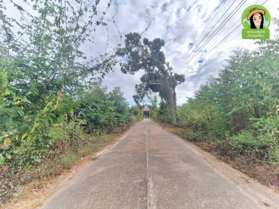 ที่ดินเปล่า 2 แปลง ขนาบทางเข้าวัดป่าสนามชัย