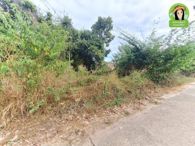 ที่ดินเปล่า 2 แปลง ขนาบทางเข้าวัดป่าสนามชัย