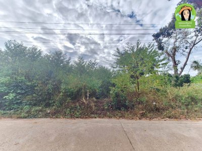 ที่ดินเปล่า 2 แปลง ขนาบทางเข้าวัดป่าสนามชัย