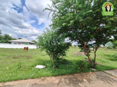 ที่ดินแบ่งล็อค เหมาะสร้างบ้าน โซนขามใหญ่-โนนหงษ์ทอง