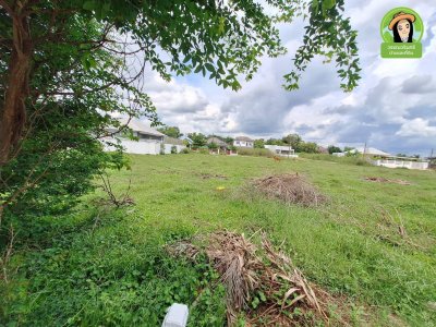 ที่ดินแบ่งล็อค เหมาะสร้างบ้าน โซนขามใหญ่-โนนหงษ์ทอง