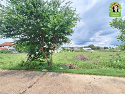 ที่ดินแบ่งล็อค เหมาะสร้างบ้าน โซนขามใหญ่-โนนหงษ์ทอง