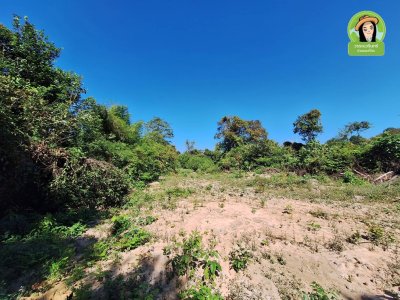 ที่ดินเปล่า แปลงใหญ่ ใกล้เทศบาลตำบลบุ่งไหม อำเภอวารินชำราบ