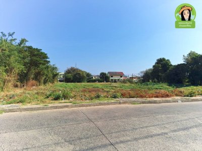 ที่ดินเปล่า 3 แปลง ติดถนนพนม ทำเลดี ทำเลในเมืองอุบล