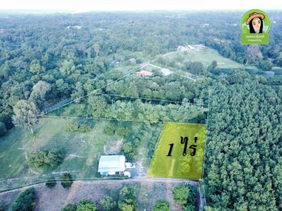 ที่ดินเปล่า ใกล้เทศบาลตำบลบุ่งไหม อำเภอวารินชำราบ