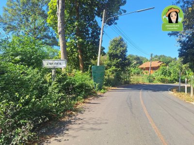 ที่ดินเปล่า ใกล้เทศบาลตำบลบุ่งไหม อำเภอวารินชำราบ