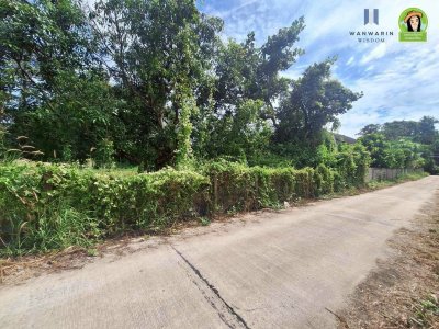 ที่ดินเปล่า โซนไร่น้อย หลังโรงแรม B2