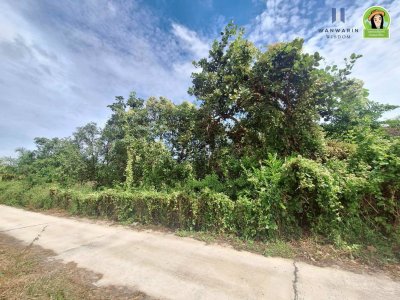 ที่ดินเปล่า โซนไร่น้อย หลังโรงแรม B2