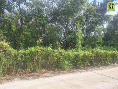 ที่ดินเปล่า โซนไร่น้อย หลังโรงแรม B2