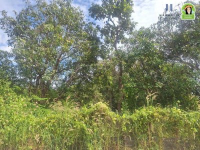 ที่ดินเปล่า โซนไร่น้อย หลังโรงแรม B2