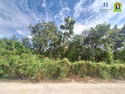 ที่ดินเปล่า โซนไร่น้อย หลังโรงแรม B2