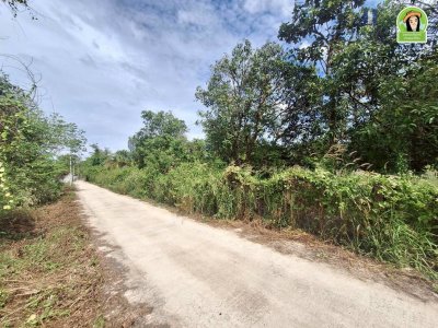 ที่ดินเปล่า โซนไร่น้อย หลังโรงแรม B2