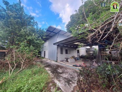 บ้านเดี่ยวชั้นเดียว 2 หลัง เนื้อที่เยอะ บนที่ดินทำเลดี ใกล้โรงแรม B2 ถนนเลี่ยงเมือง