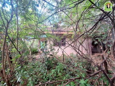 บ้านเดี่ยวชั้นเดียว 2 หลัง เนื้อที่เยอะ บนที่ดินทำเลดี ใกล้โรงแรม B2 ถนนเลี่ยงเมือง