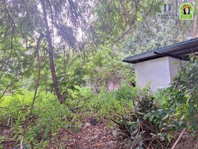 บ้านเดี่ยวชั้นเดียว 2 หลัง เนื้อที่เยอะ บนที่ดินทำเลดี ใกล้โรงแรม B2 ถนนเลี่ยงเมือง