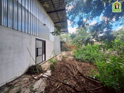 บ้านเดี่ยวชั้นเดียว 2 หลัง เนื้อที่เยอะ บนที่ดินทำเลดี ใกล้โรงแรม B2 ถนนเลี่ยงเมือง