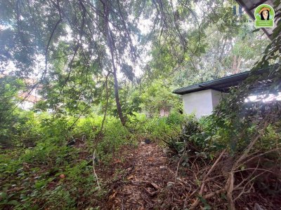 บ้านเดี่ยวชั้นเดียว 2 หลัง เนื้อที่เยอะ บนที่ดินทำเลดี ใกล้โรงแรม B2 ถนนเลี่ยงเมือง