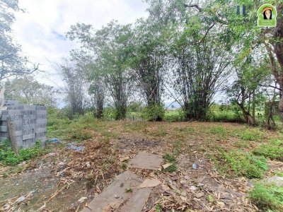 ที่ดินเปล่าแปลงใหญ่ พร้อมสิ่งปลูกสร้าง ติดกับโลตัสวาริน