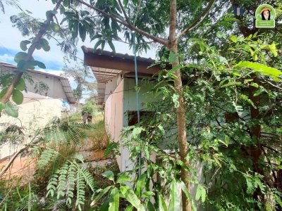 อาคารพาณิชย์ชั้นเดียว 2 คูหา พร้อมที่ดินเปล่าแปลงใหญ่