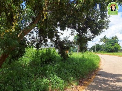 ที่ดินเปล่า โซนบ้านก่อ ใกล้บิ๊กซีวารินฯ เพียง 3 นาที