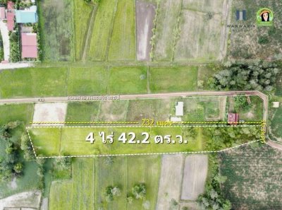 ที่นาแปลงยาว หลังโกลบอลเฮ้าส์