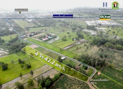 ที่นาแปลงยาว หลังโกลบอลเฮ้าส์