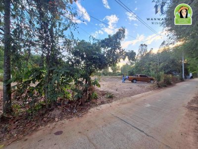 ที่ดินเปล่า บ้านขัวไม้แก่น อ.วารินฯ