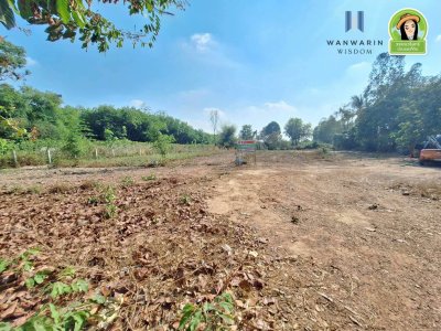 ที่ดินเปล่า บ้านขัวไม้แก่น อ.วารินฯ