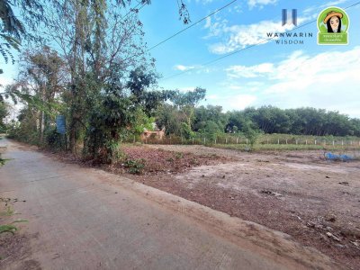 ที่ดินเปล่า บ้านขัวไม้แก่น อ.วารินฯ