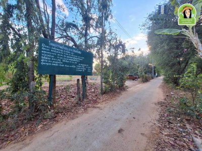 ที่ดินเปล่า บ้านขัวไม้แก่น อ.วารินฯ