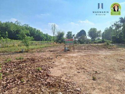 ที่ดินเปล่า บ้านขัวไม้แก่น อ.วารินฯ
