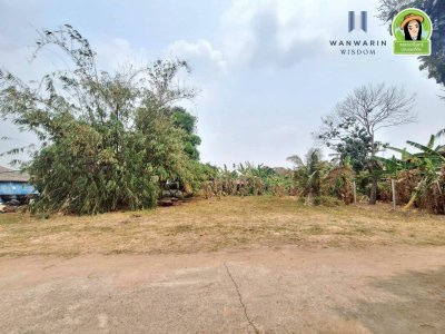 ที่ดินเปล่าในหมู่บ้านทุ่งขุนน้อย ต.แจระแม หลังสำนักงานที่ดินอุบลฯ