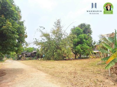 ที่ดินเปล่าในหมู่บ้านทุ่งขุนน้อย ต.แจระแม หลังสำนักงานที่ดินอุบลฯ