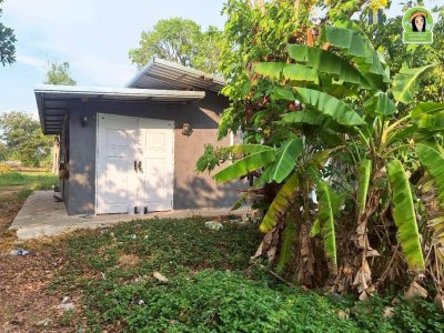 ที่นาพร้อมบ้าน โซนบุ่งหวาย อ.วารินฯ