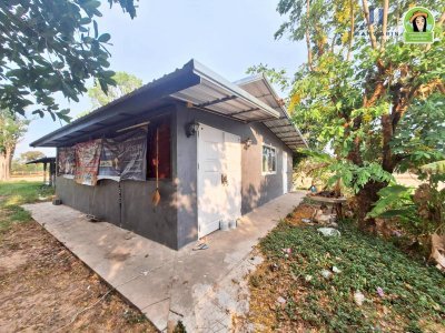 ที่นาพร้อมบ้าน โซนบุ่งหวาย อ.วารินฯ