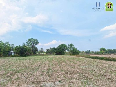 ที่นาพร้อมบ้าน โซนบุ่งหวาย อ.วารินฯ