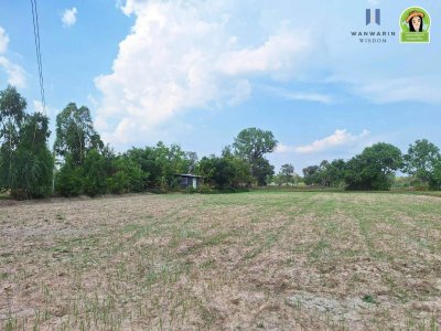 ที่นาพร้อมบ้าน โซนบุ่งหวาย อ.วารินฯ