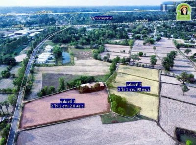 ที่นาพร้อมบ้าน โซนบุ่งหวาย อ.วารินฯ